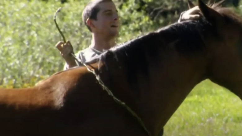 bear grylls tames horse man vs. wild