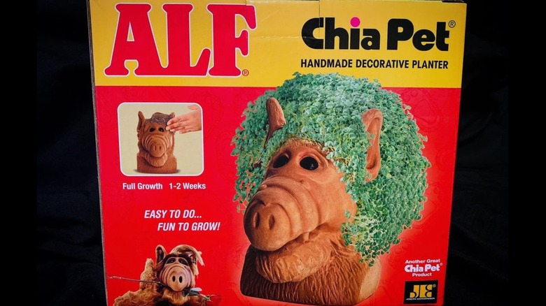 Original Chia Pet commercial image